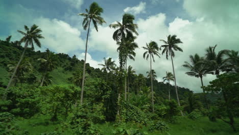 costal tavarua falls waterfall beach walk tropical jungle mountain taveuni green garden island palm coconut trees sunny cloudy panorama nature landscape scenery slow pan right