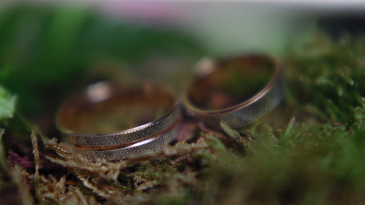 Set of designer gold bridal rings on thuja tree branch macro