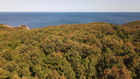 Herbstwald-Meer-Hintergrund