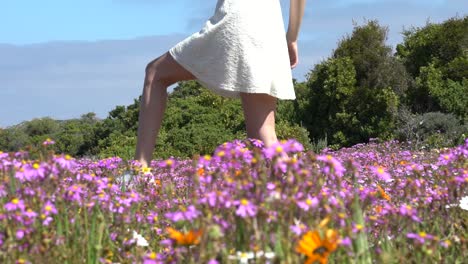 Weitwinkelaufnahme-Eines-Mädchens,-Das-Zwischen-Blumen-Spazieren-Geht