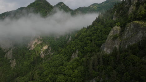 喬治亞薩姆茨赫-贾瓦赫蒂 (samtskhe-javakheti) 的博爾喬米自然保護區的岩石山脊上常綠森林上的雲