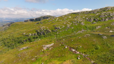 sentiero escursionistico su una lussureggiante montagna rocciosa sulla costa occidentale della norvegia in estate