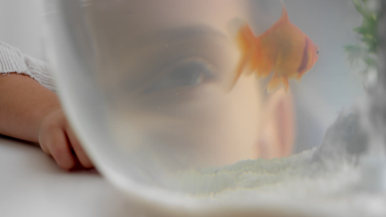 골드피쉬를 보는 소녀 아쿠아리움에서 헤엄치는 물고기를 보는 아이 미소 짓는 행복한 수중 애완동물을 즐기는 4k