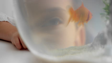 Niña-Mirando-Peces-De-Colores-En-Un-Recipiente-Viendo-Peces-Nadando-En-El-Acuario-Niño-Sonriendo-Feliz-Disfrutando-De-Una-Mascota-Acuática-4k