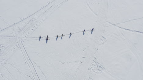 Skiers walking in single line formation in snow, aerial top down view