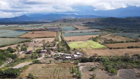 Disparo-De-Dron-Que-Captura-Hermosos-Patrones-De-Campos-Agrícolas