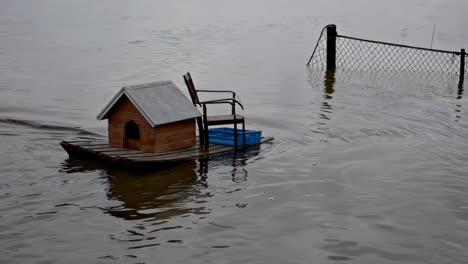 dog house and chair floating on floodwaters