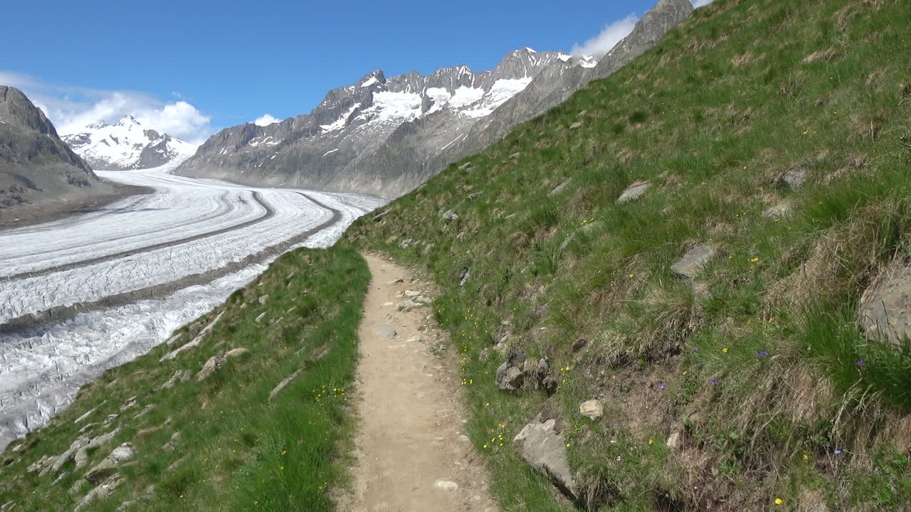 Wide shot of a mountain hiking path overlooking the Aletsch Glacier and snowy Alpine peaks on a sunny day in Valais, Switzerland, with clear blue sky