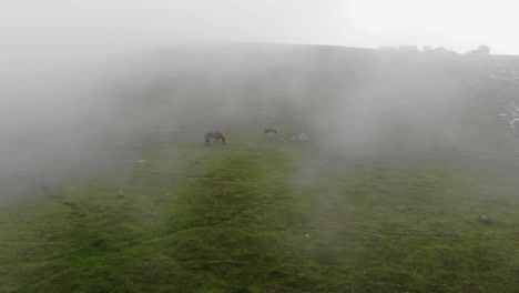 Vista-Aérea-De-Caballos-Salvajes-Caminando-Por-La-Cima-De-Una-Colina-Con-Nubes-Rodantes-En-El-Valle-De-Los-Babuinos-En-Cachemira