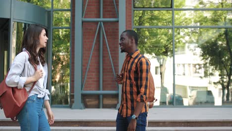 caucasian woman and african american man talking in the street near the university