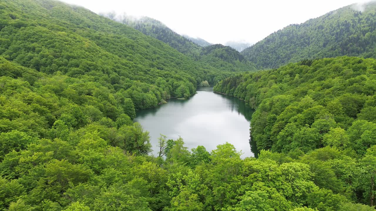 Biogradska Gora national park dense forest and Lake Biograd in summer, Aerial