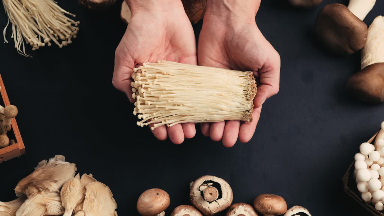Hands Holding Fresh Enoki Mushrooms