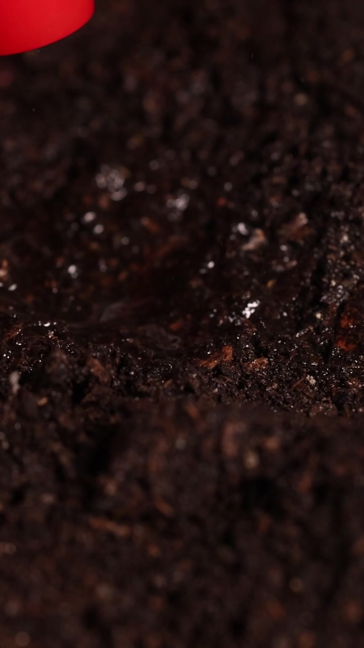 Inquadratura macro verticale di mani che piantano un seme e spruzzano acqua su terreno scuro e fertile.