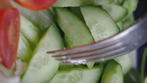 fresh vegetable salad with cucumber and tomatoes