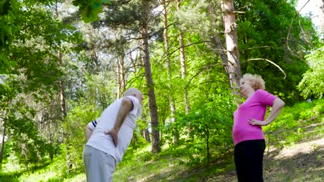 senior couple doing active exercises together in summer park