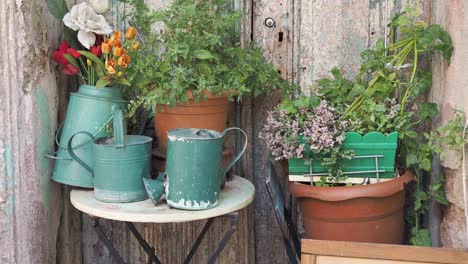 a beautiful rustic garden scene with plants and flowers