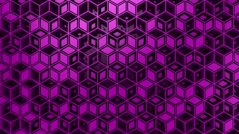 el fondo del rombo