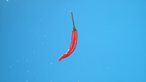 single small hot red chili pepper flying through air and spinning with small water droplets