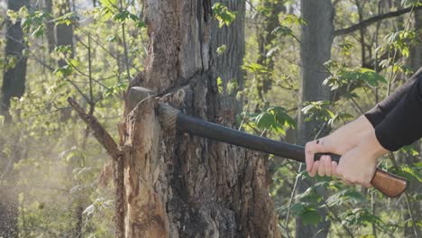 downward axe swing sticking into a tree