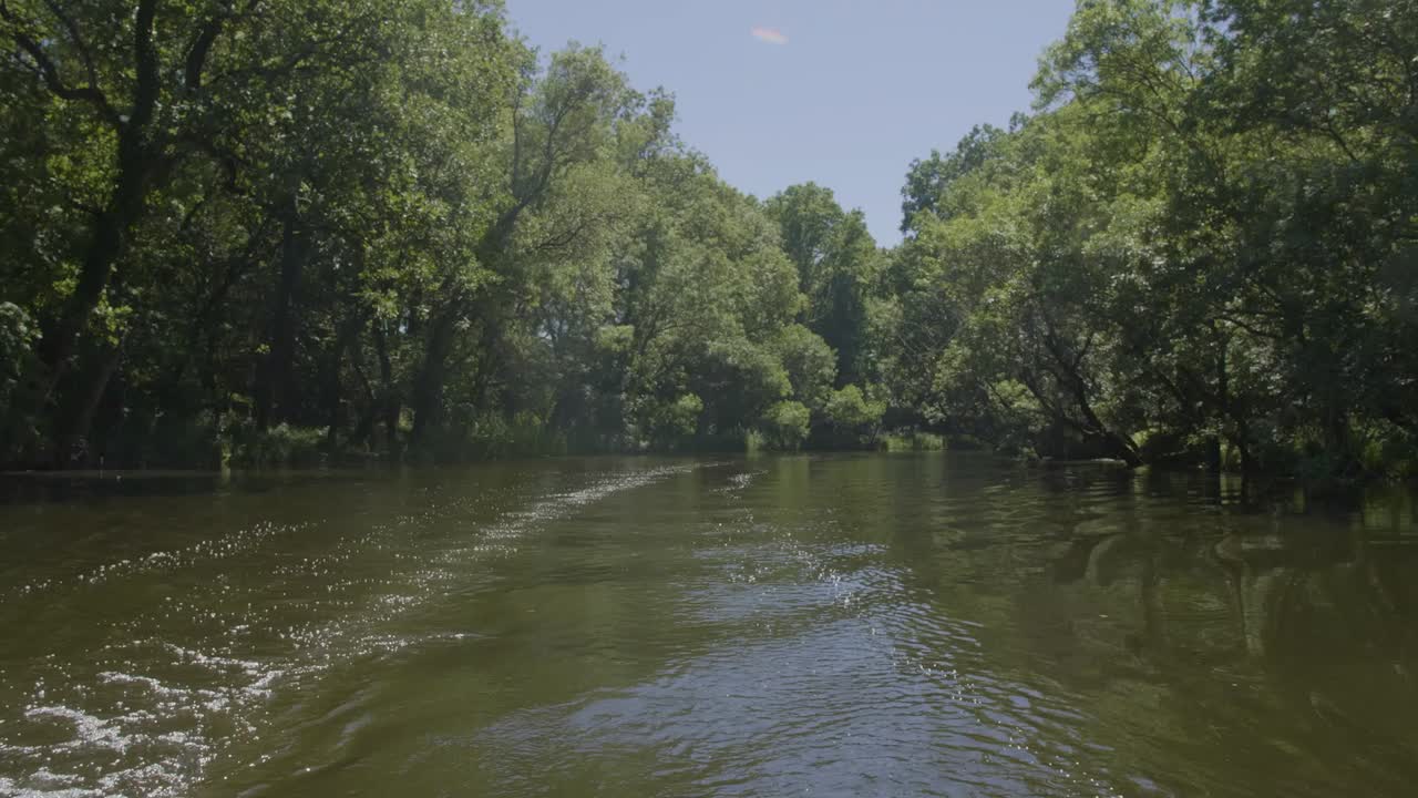 Crociera veloce sul fiume in un'area naturale protetta