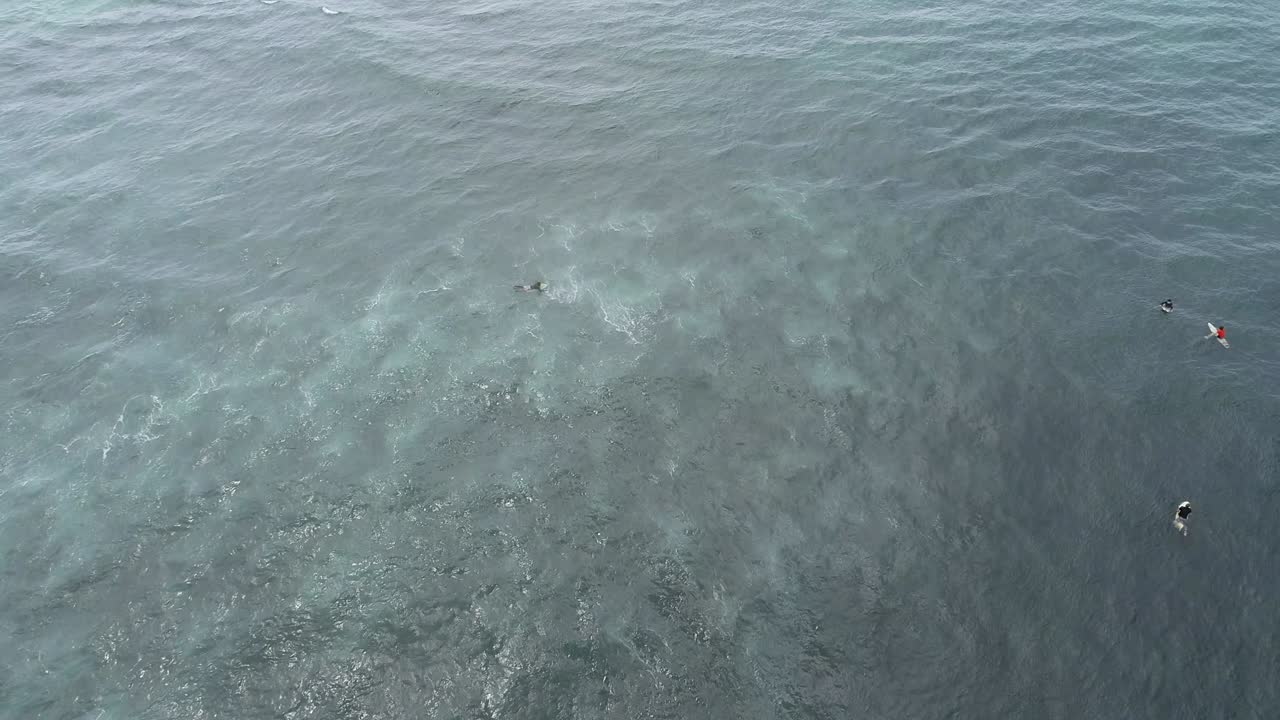 공중 사진: 바다의 파도, 한 마리의 거북이가 파도 속에서 헤엄치고 있는 장면.