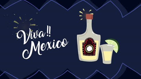 viva mexico! tequila illustration