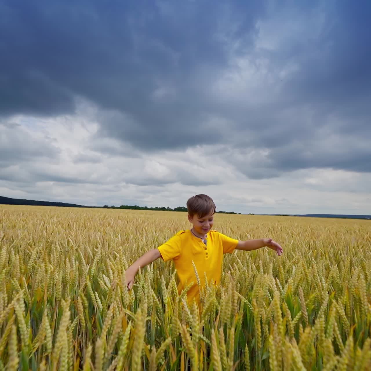Little boy among agricultural land. Happy boy spinning around and hiding in farmland. Cute child on yellow field under clouded sky.