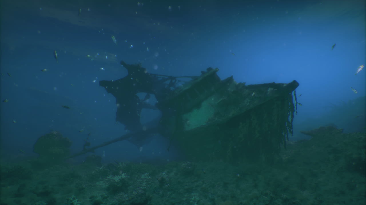Shipwreck rests on ocean floor surrounded by marine life and debris