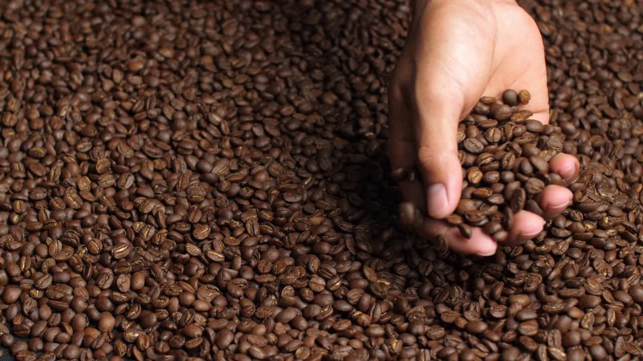 Hand Touching Coffee Beans, Video In 4K, 50Fps