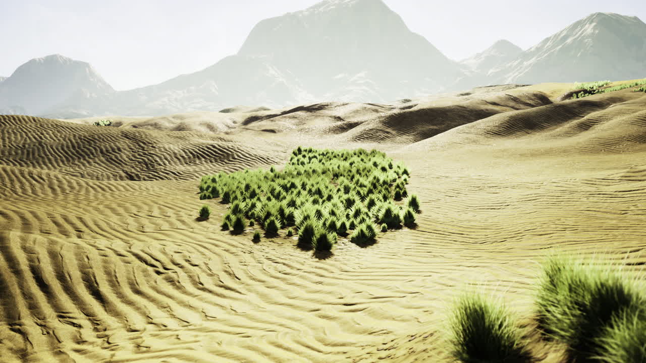 Vasto paesaggio desertico con vegetazione lussureggiante tra dune sabbiose e montagne