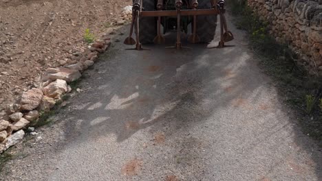 parte trasera de un tractor tirando de un remolque por la carretera listo para trabajar la tierra, filmado en cámara lenta