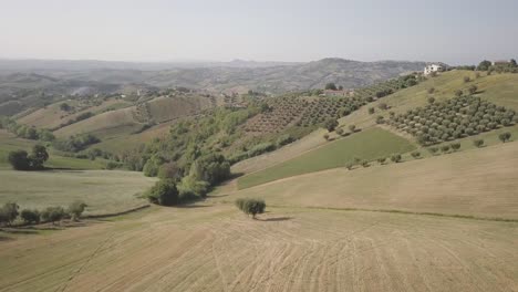 Drohne-Teast-Nach-Der-Ernte-Die-Weizenfelder-Ab