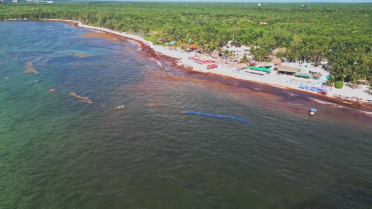 Xpu-Ha Beach, brown seaweed shoreline, tropical marine environment, aerial