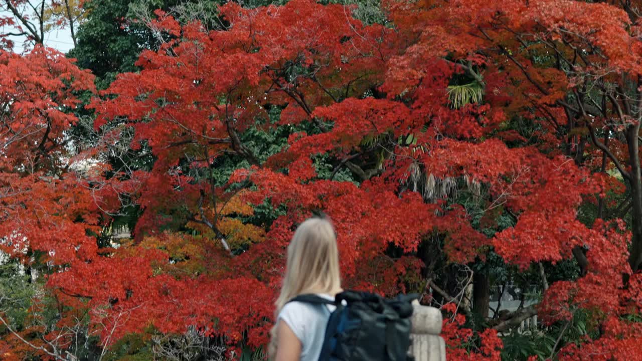 A young woman stands on a bridge in Kyoto, Japan, gazing at the breathtaking red autumn foliage.