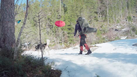 disco oscilante rojo colgando de un árbol con excursionista y perro mascota pasando en invierno