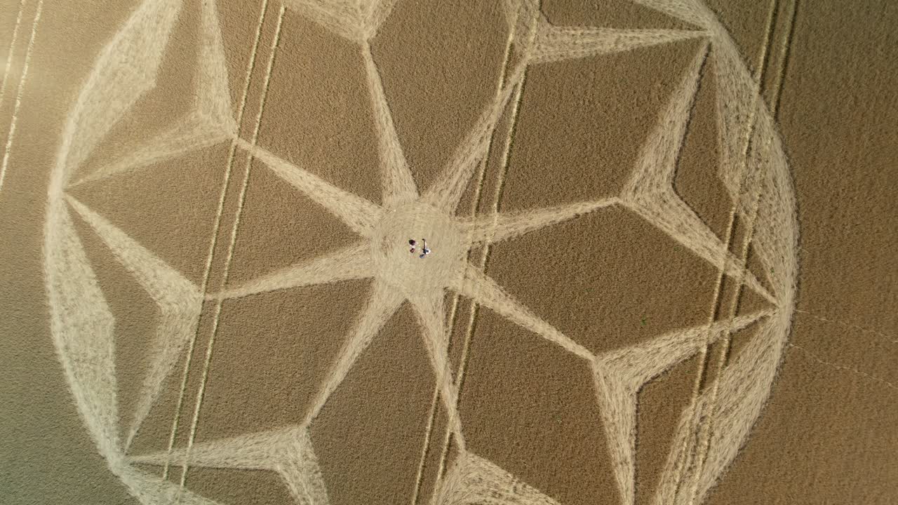 People sitting mysterious golden farmland geometric flower pattern crop circle energy aerial rising top down view Tichborne