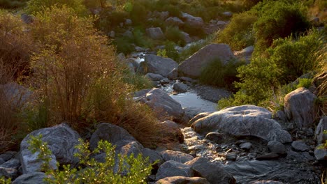 un río de montaña con luz de puesta de sol