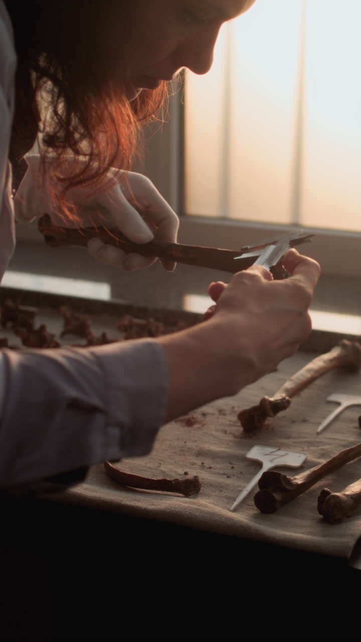 Archaeologist examining ancient bone fragments in a lab