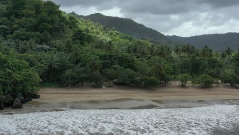 Drone-backwards-shot-of-tropical-green-landscape,sandy-beach-and-Atlantic-Ocean-during-grey-cloudy-day---Playa-el-Valle,Dominican-Republic