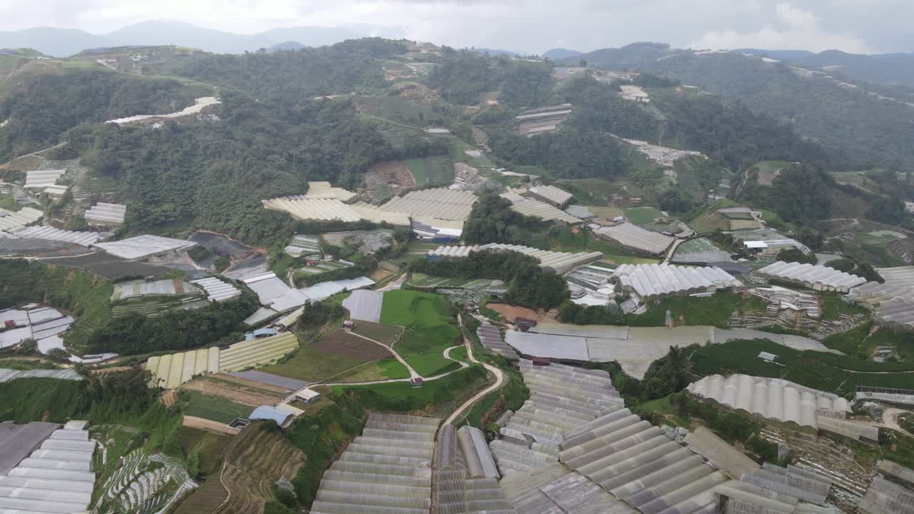 말레이시아의 카메론 하이랜드 지역 내의 브린창 지역의 일반 풍경