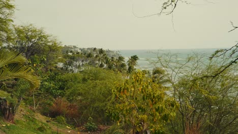 a-static-shot-of-the-ocean-over-the-tropical-vegetation-on-the-island-of-Oahu-Hawaii