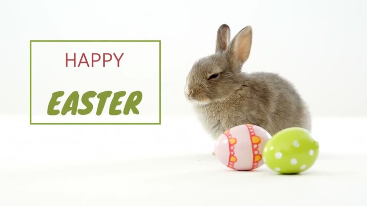 Animazione delle parole Buona Pasqua scritte in verde e rosso in una cornice verde con un simpatico coniglietto pasquale.