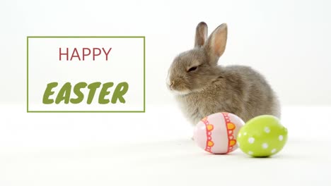 animation of words happy easter written in green and red in green frame with cute easter bunny