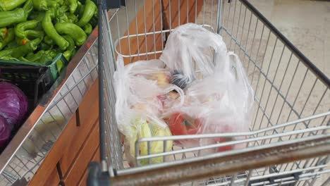 shopping cart with fruits and vegetables at the grocery store