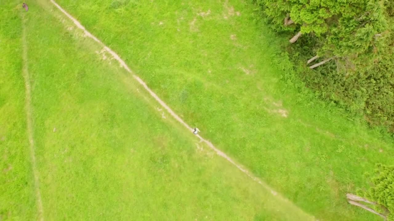 녹색 풍경 에서 달리는 적당 한 여자