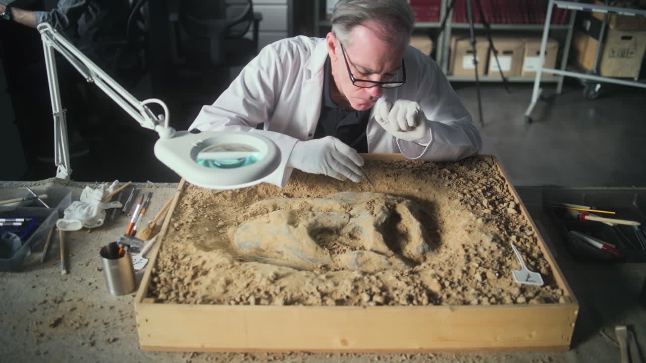 un paleontólogo examinando un fósil