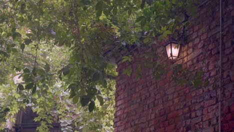 brick wall with ivy and a lantern