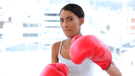 Mujer-Peleando-Con-Guantes-De-Boxeo