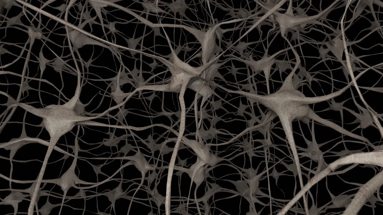 Neurons brain mind axon thought neural network dendrite cell health science 4k