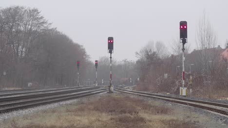 railroad tracks converging with red signals on a foggy day, bare trees in the background, hint of urban life